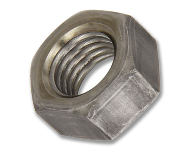 Stainless Steel Nuts